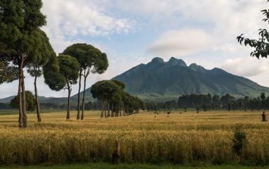 Beautiful scenery in Rwanda