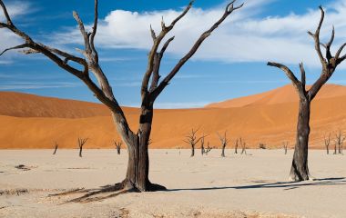 Desert landscape in Sossusvlei, Namibia