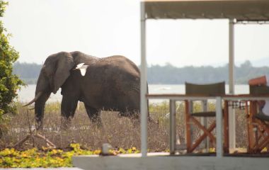 Your Day on Safari in Africa