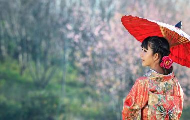 Enchanting Travels - Asian woman wearing traditional japanese kimono, sakura background - private tour of Japan