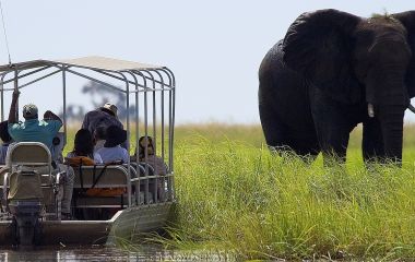 Enchanting Travels Africa Tours Botswana Chobe - 1700