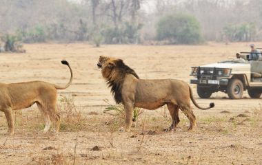 Enchanting Travels African safari parks to see