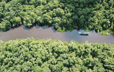 Bird’s-eye view of