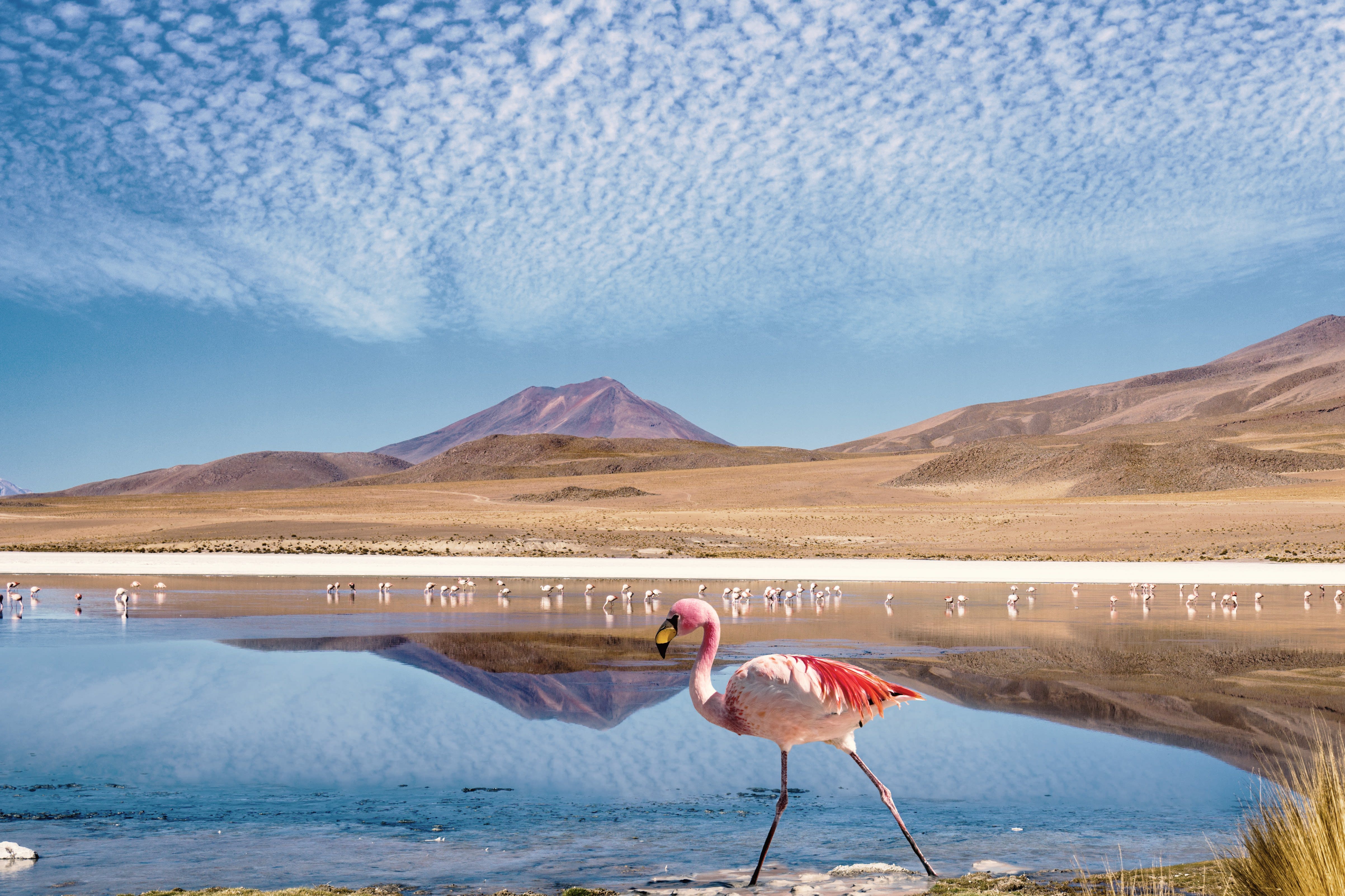 bolivien-klima-und-reisewetter