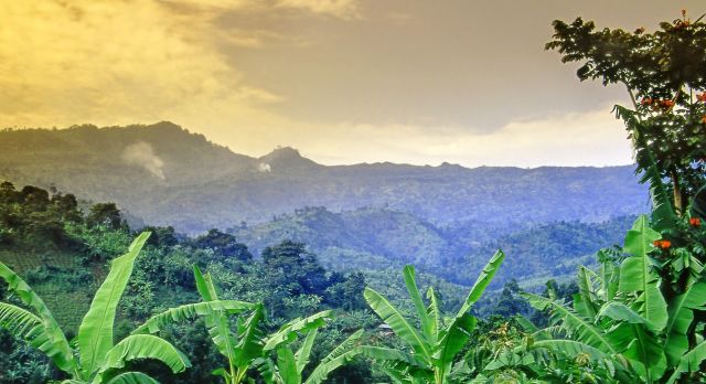 Uganda Sehenswürdigkeiten - Mount Elgon
