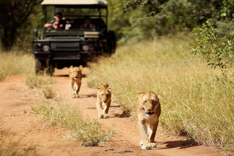 south african safari best time to go