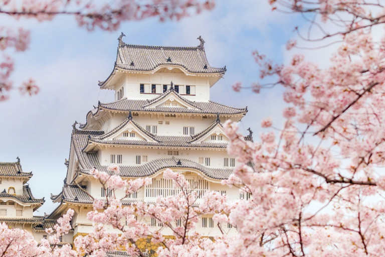 Cherry Blossom Festival In Japan When And Where Go