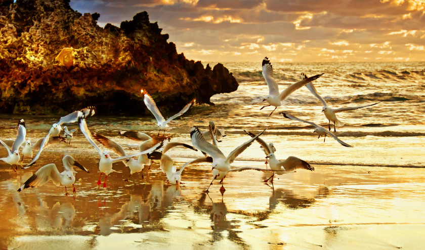 Enchanting Travels Australia Tours - Two Rocks Sunset - Perth Australia - Best trips to take in 2020