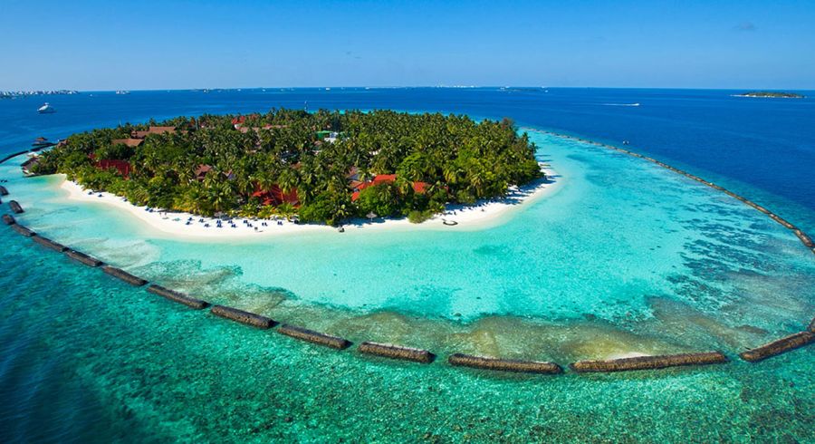 Nashörner in Kenia bei strahlend blauem Himmel Insel der Malediven bei strahlendem Sonnenschein