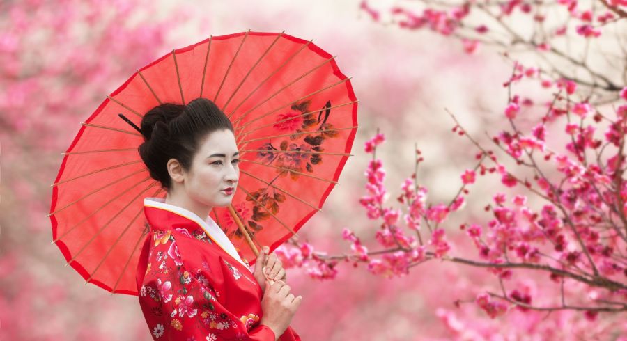 Private Japan Tours