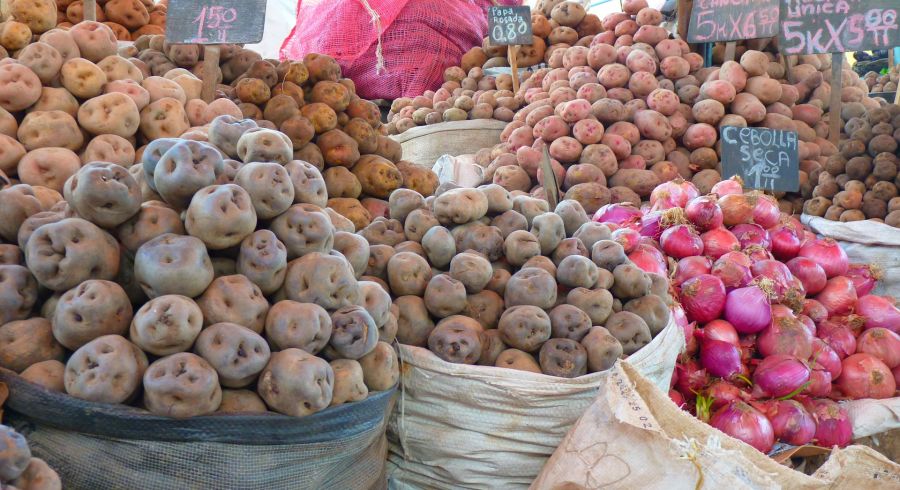 Marktstand in Lima mit Kartoffeln
