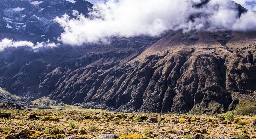 Riobamba Mossy volcanic Andean landscape in afternoon light near El Altar volcano in Riobamba region