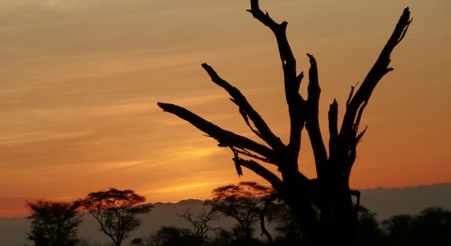 Mount Kenya bei Sonnenuntergang