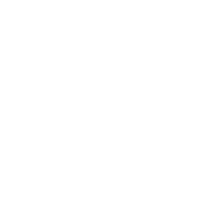brands logo
