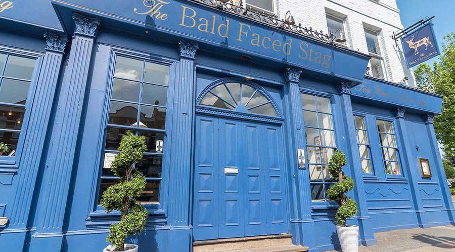 The Bald Faced Stag, Dog Friendly Pub in North London