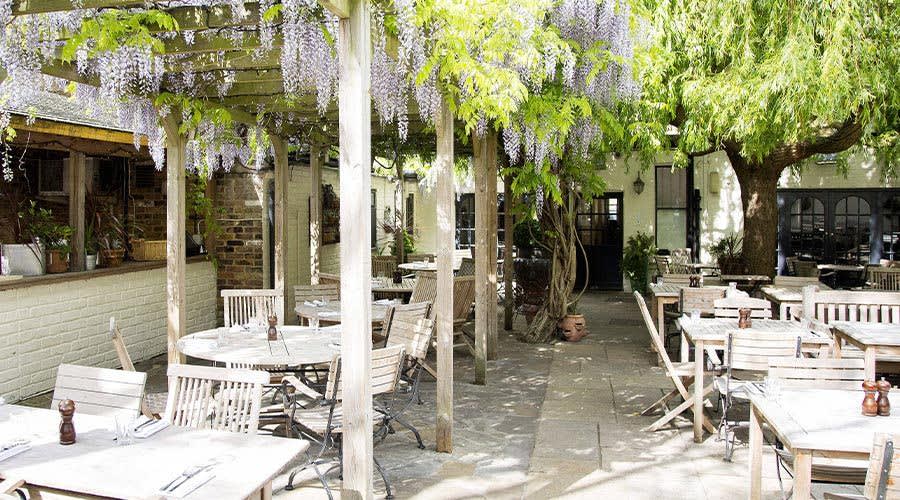 The Albion, Dog Friendly Pub in North London