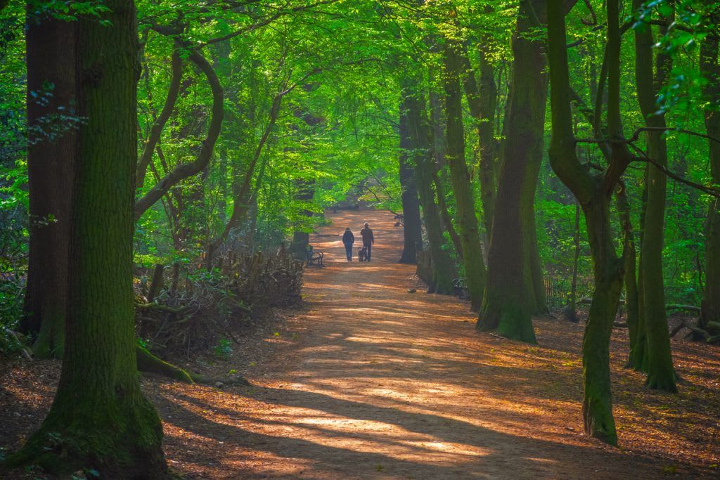 Parkland Walk, London