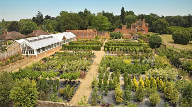 Stubbings Cafe & Nursery, living in Maidenhead