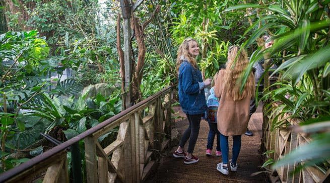 The Living Rainforest - Days Out in Berkshire