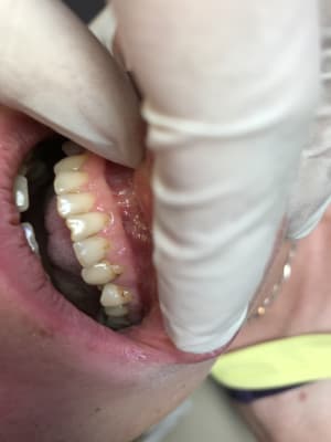 0844f785 fe8b 4c89 8955 228a45f9b8d4 d9ykbi - Eugenol