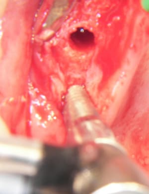 100 6751 q9il4j - Eugenol