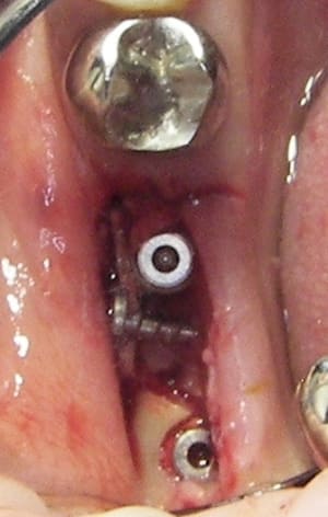 100 7618 fnsofu - Eugenol