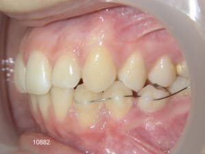 10882 8bis msb5os - Eugenol