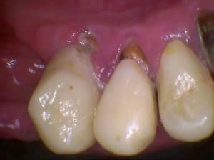 1210 tgc2rw - Eugenol