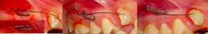 13 incluse 9 cdjeqx - Eugenol