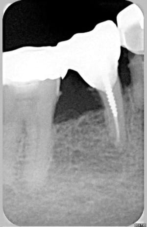 2005 xrazvl - Eugenol
