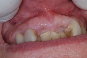 2008 01 25 011 dulu2y - Eugenol