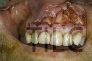 20090629  mg 0033 agqh6h - Eugenol