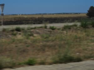 201007118 008 lrizbx - Eugenol