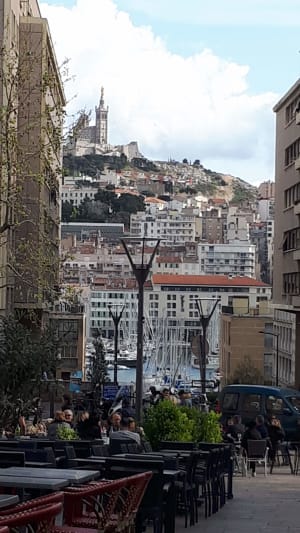 20190407 165215 bg9z8a - Eugenol