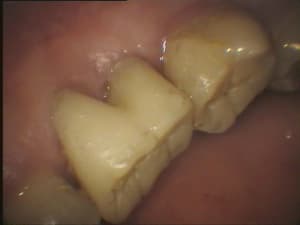 227 pxkzbx - Eugenol