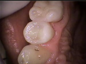 26 sl0you - Eugenol