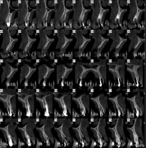 2 1 x6yroa - Eugenol