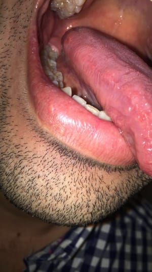 3dee7165 d749 476c 94d2 d60579778e47 qss26a - Eugenol