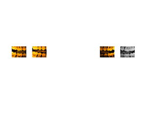 5 ojor2x - Eugenol