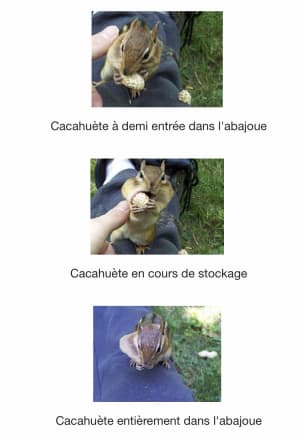 7ca07856 1f7a 47cd b0b3 0217a2855a50 uepokb - Eugenol