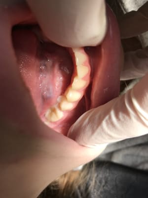 81fe1284 7cc7 4fec 925e 2982355c8c0d ikgh3d - Eugenol