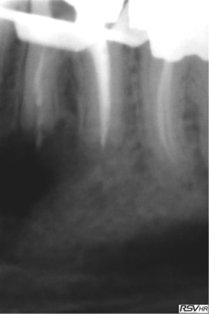 B2 gnwk7d - Eugenol
