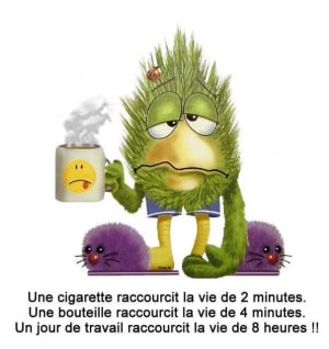 Bon anniversaire lldzca - Eugenol