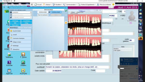 Bridge cmu 2 yrk5qk - Eugenol