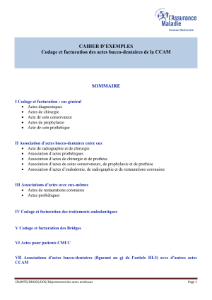 Ccam par cpam cahier d exemples irbr5q - Eugenol