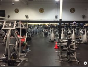 Capture d e cran 2015 08 07 17.13 - Eugenol