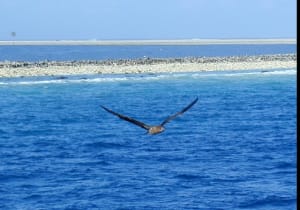 Capture d e cran 2016 03 10 19.29 - Eugenol