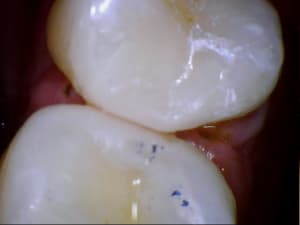 Caval 20120214 8 19 - Eugenol
