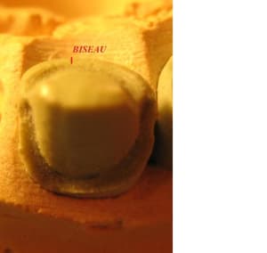 Congé biseau palatin pu4pfv - Eugenol