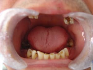 Dsc02881 c9ulz4 - Eugenol